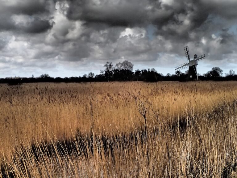 Norfolk Broads landscape with reeds and Turf Fen drainage windmill at How Hill