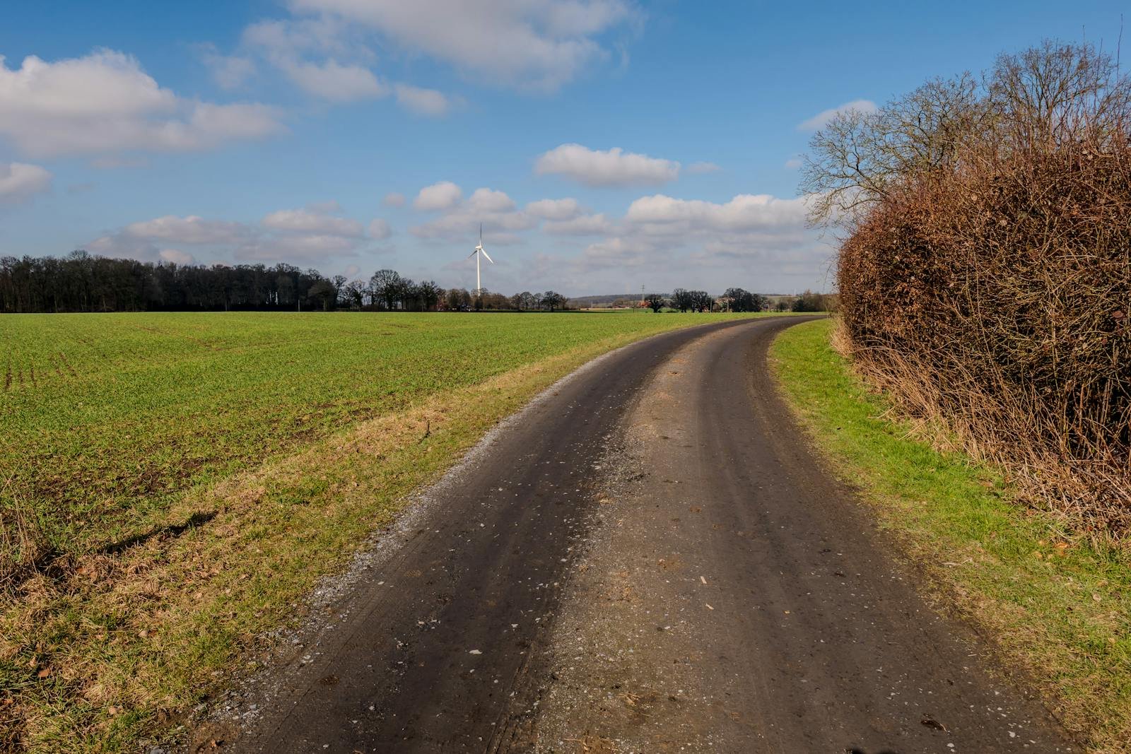 The road to Norfolk
