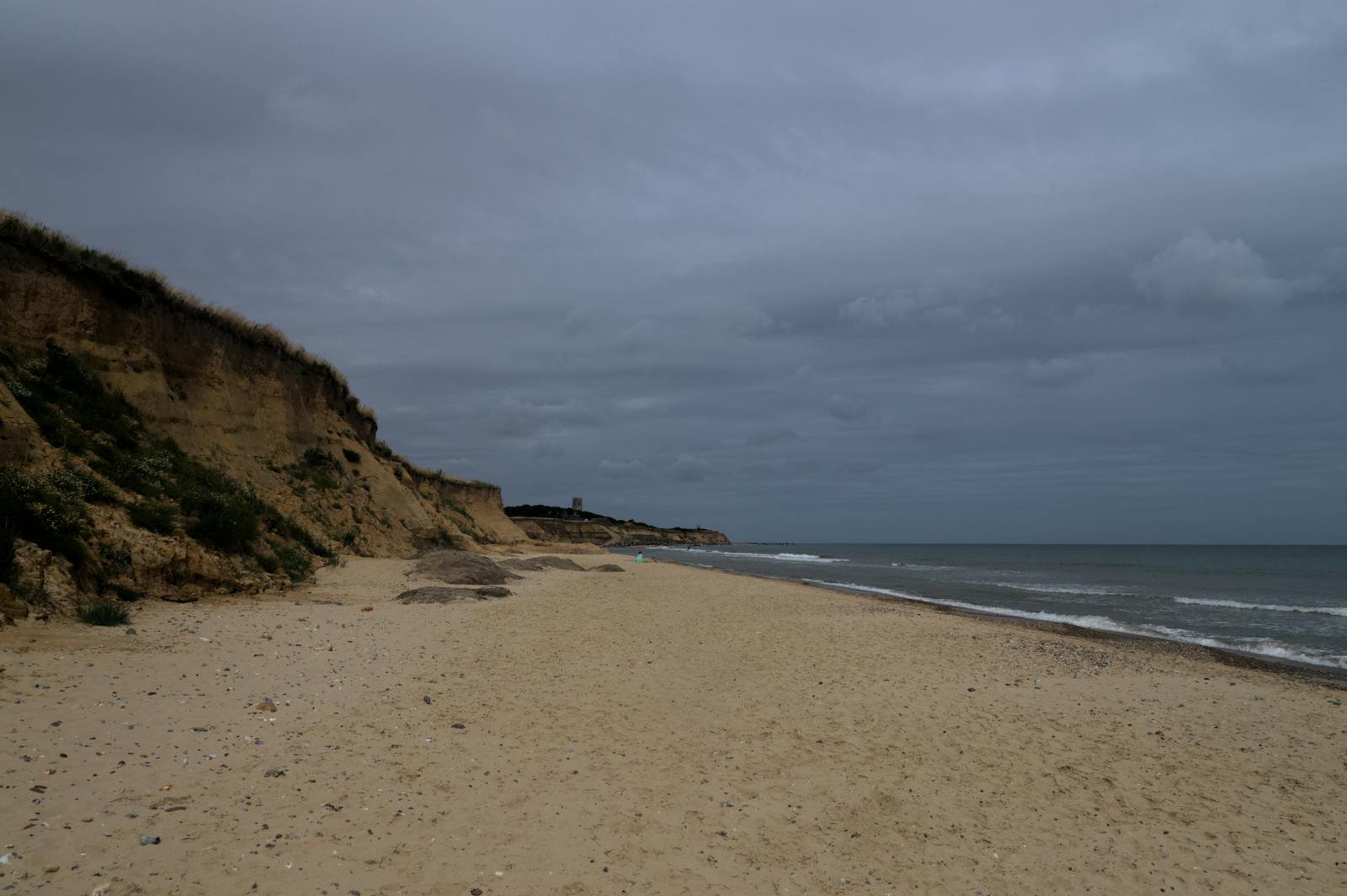 Norfolk coastal pine forest path popular with retirees