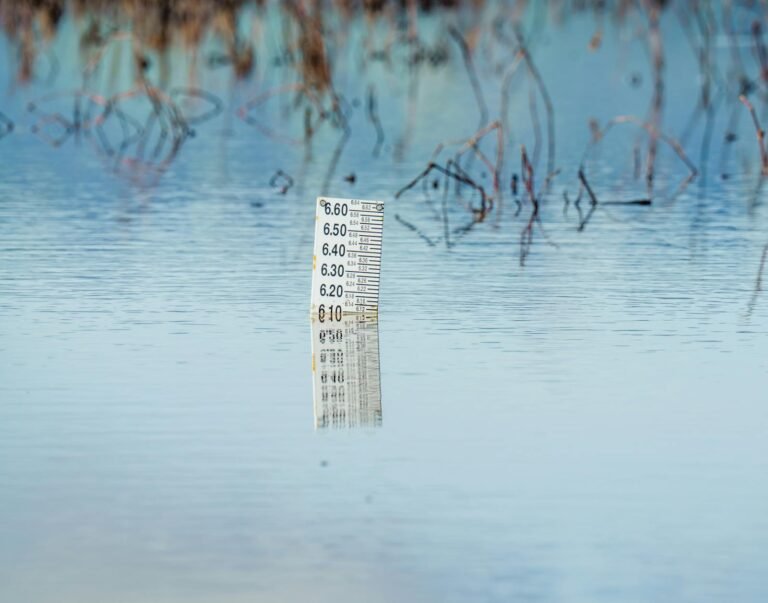 Norfolk wetlands and river landscape