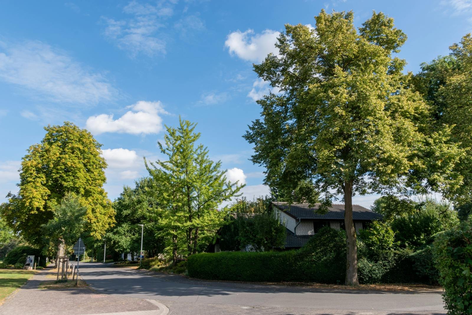 Moving to Norwich: which suburb suits you? The 2026 commuter-belt comparison