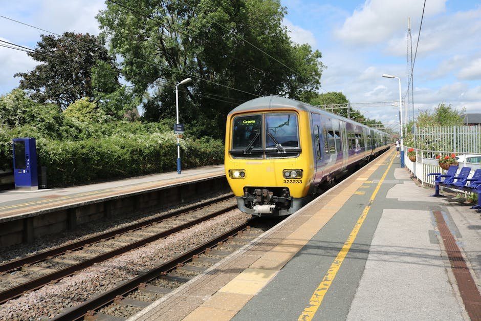 Norfolk Transport Guide