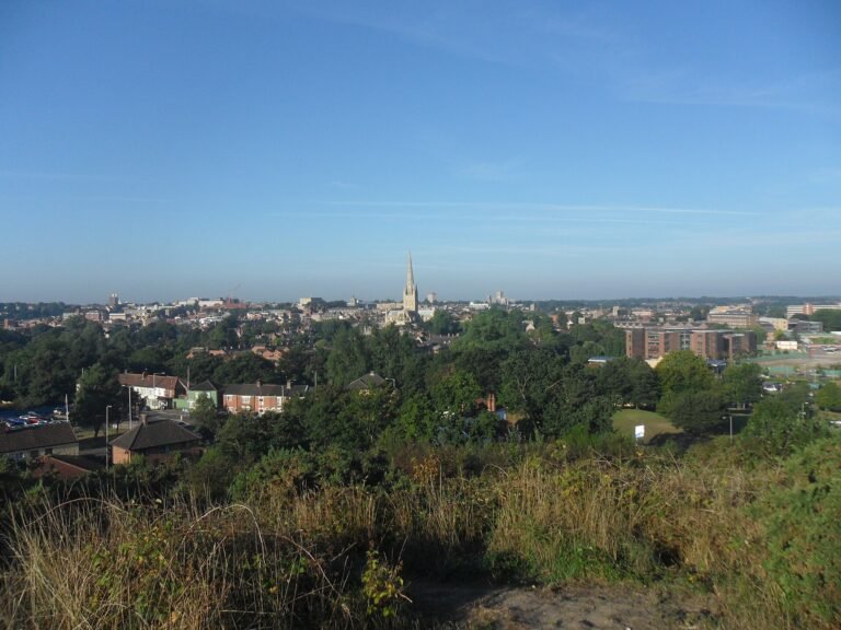 Norwich skyline at dusk showing rooftops, the cathedral spire and residential streets across the Norfolk city.