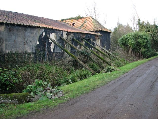 Old clay-lump barn at Wash Farm, Banham, its black tarred render flaking off the earth walls, propped by timber shores
